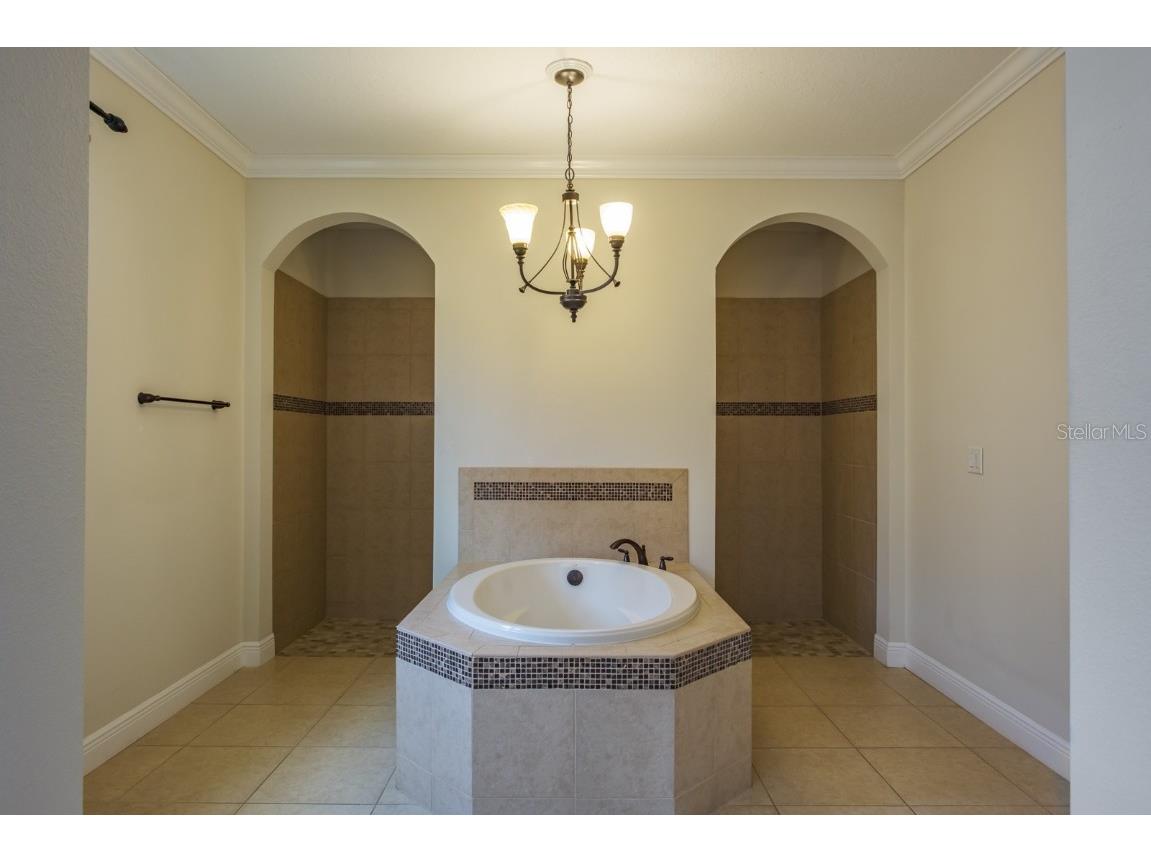 165 Mobbly Bay Drive Oldsmar FL 34677 TB8430614 image54