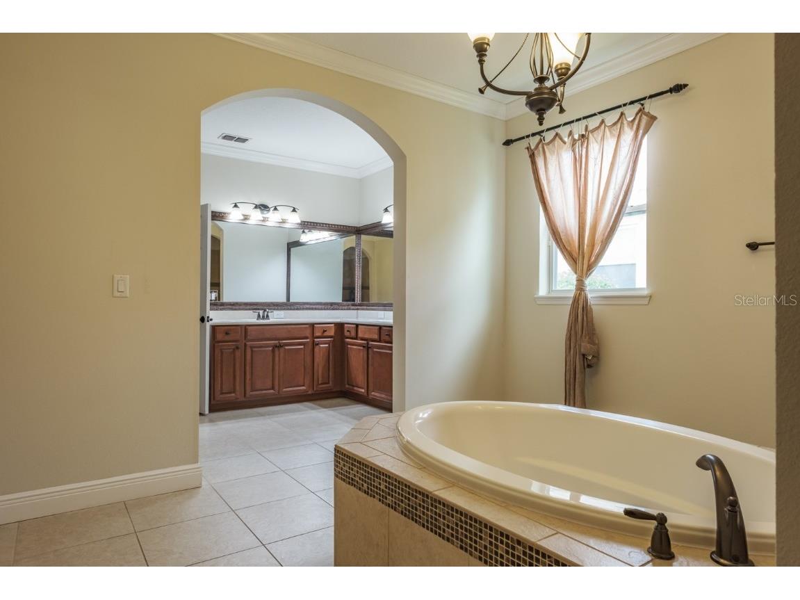 165 Mobbly Bay Drive Oldsmar FL 34677 TB8430614 image55