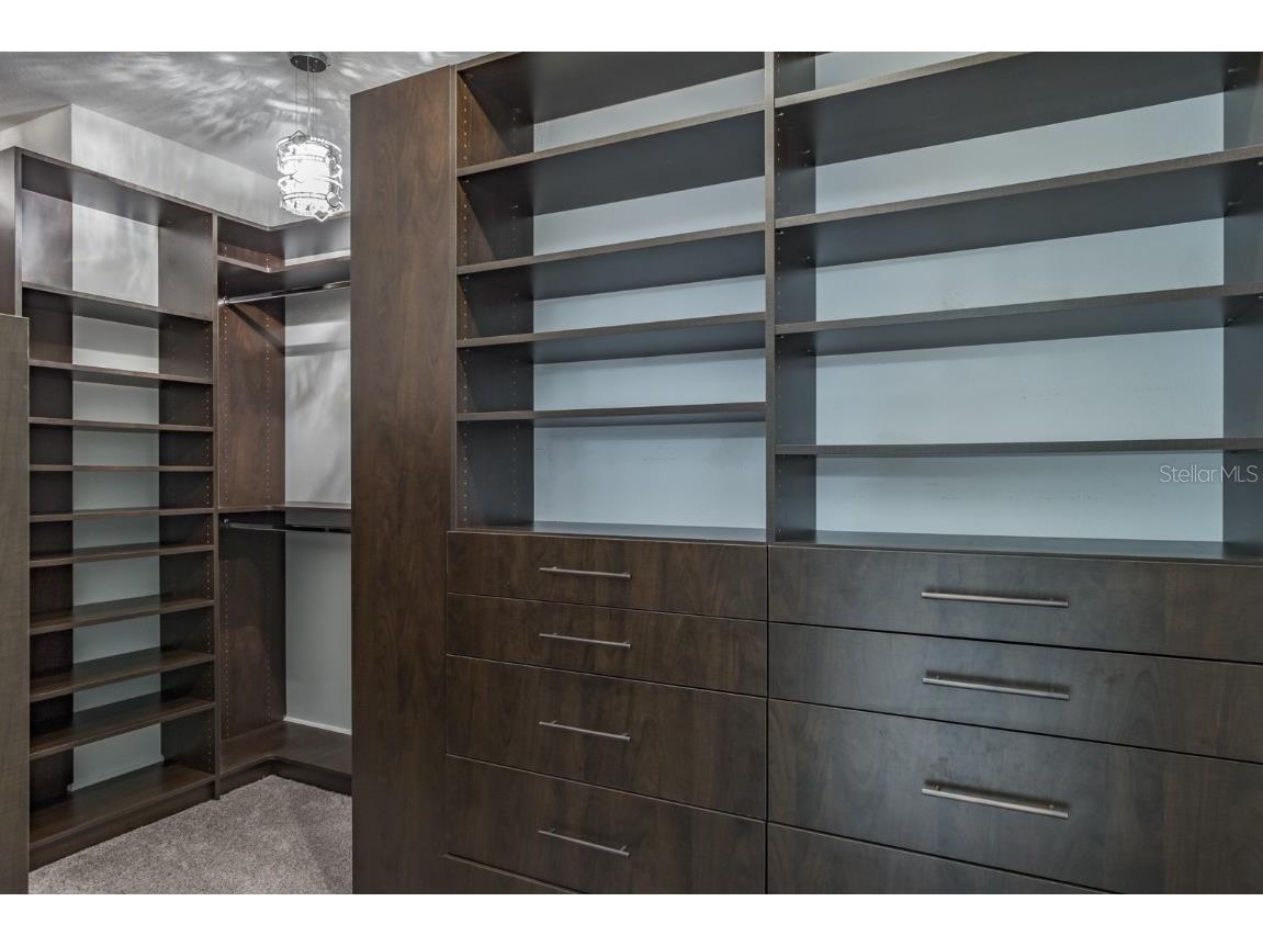 165 Mobbly Bay Drive Oldsmar FL 34677 TB8430614 image57