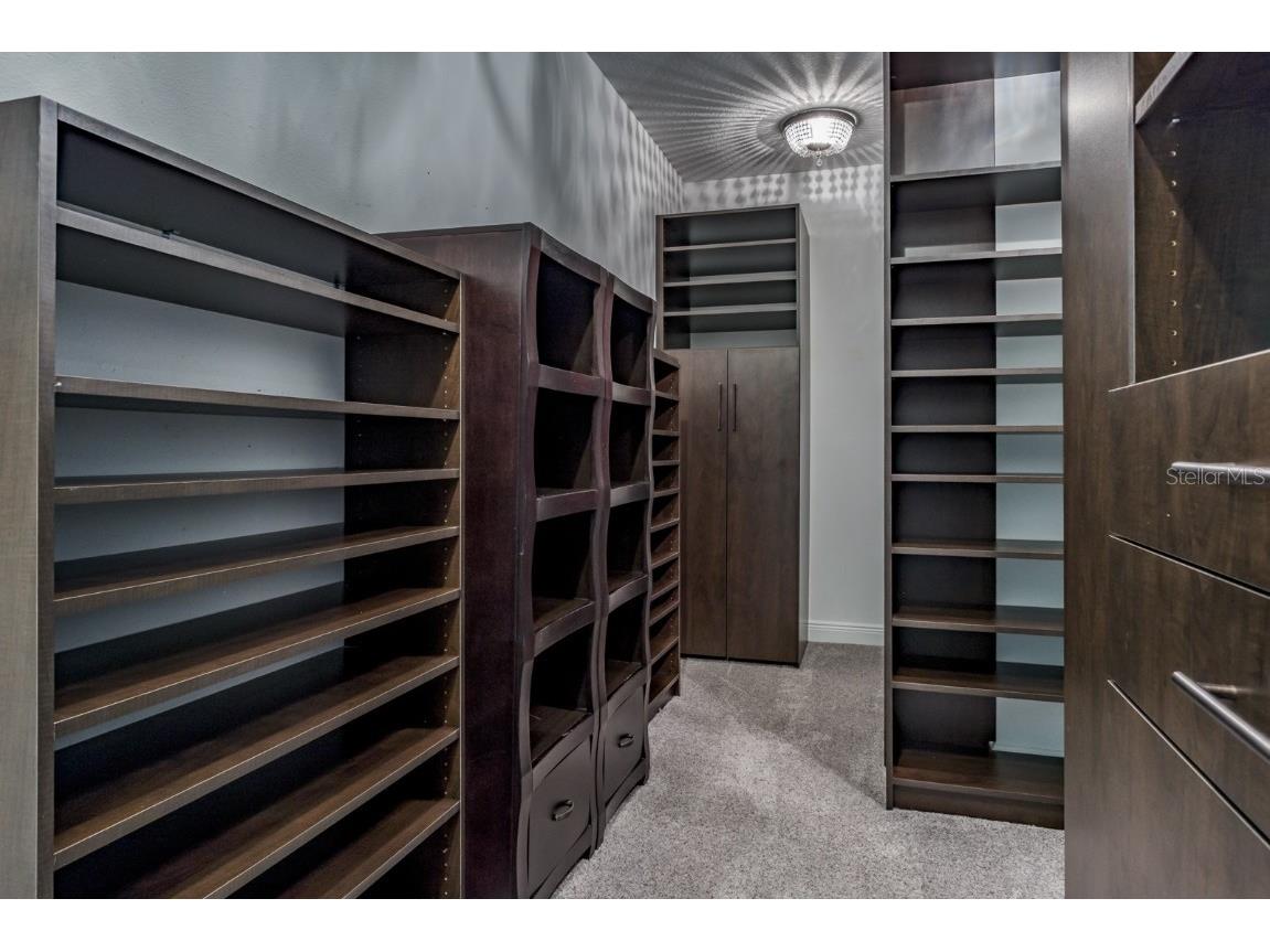 165 Mobbly Bay Drive Oldsmar FL 34677 TB8430614 image58