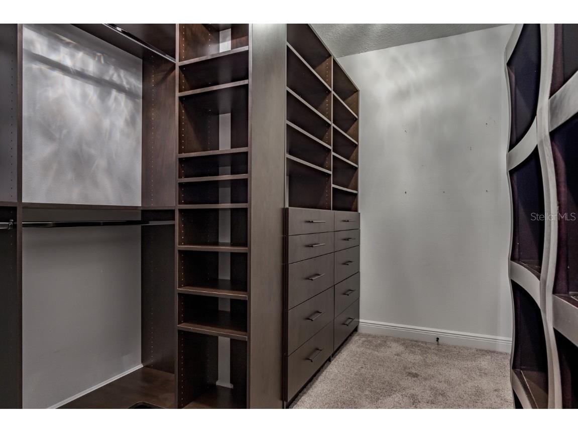 165 Mobbly Bay Drive Oldsmar FL 34677 TB8430614 image59