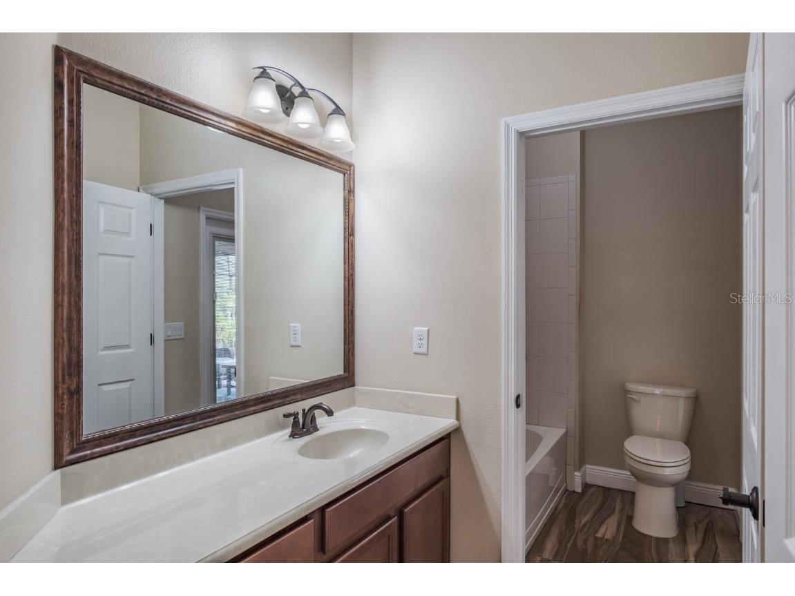 165 Mobbly Bay Drive Oldsmar FL 34677 TB8430614 image62