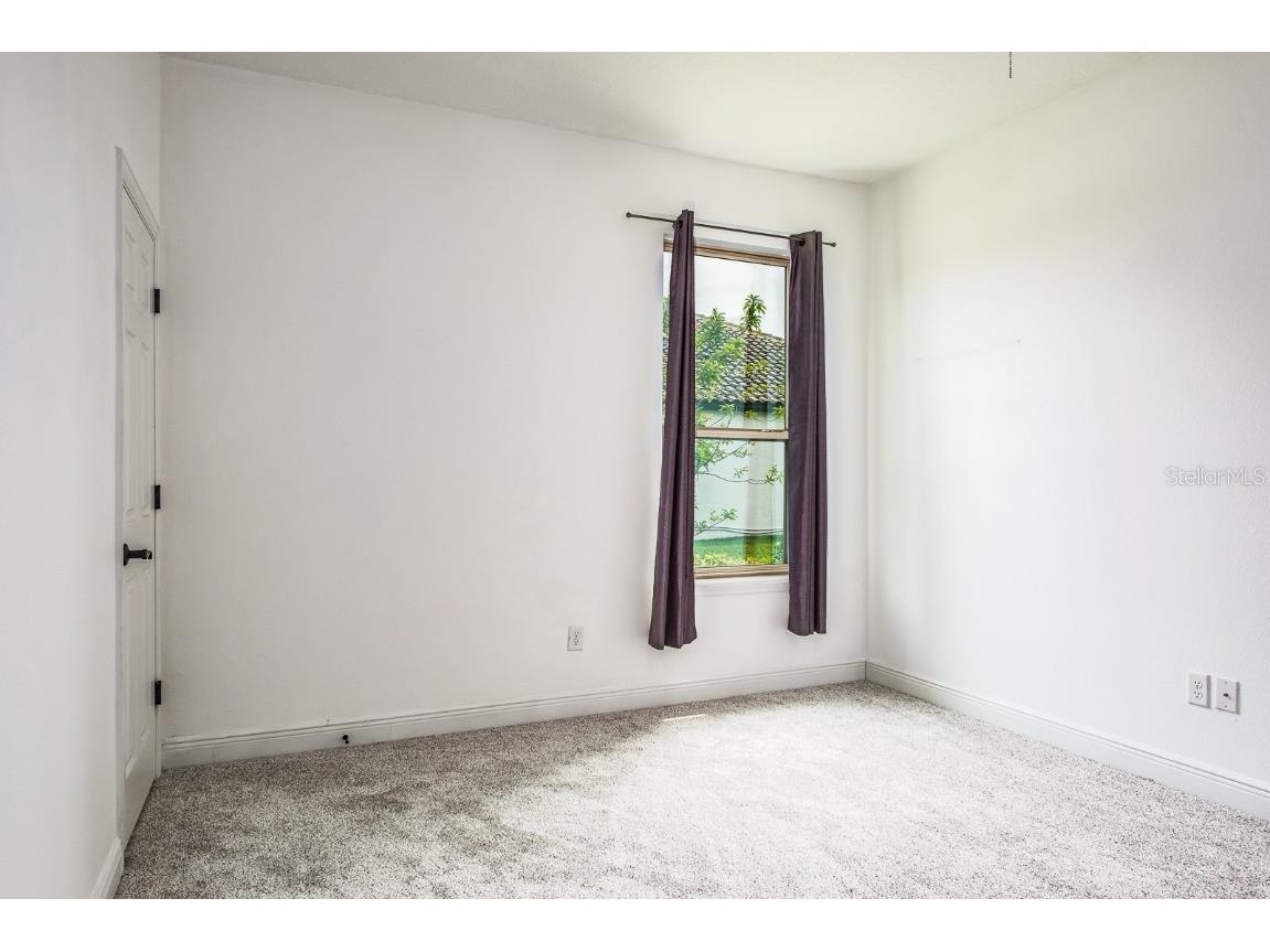 165 Mobbly Bay Drive Oldsmar FL 34677 TB8430614 image65