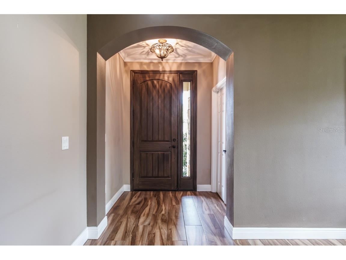 165 Mobbly Bay Drive Oldsmar FL 34677 TB8430614 image9