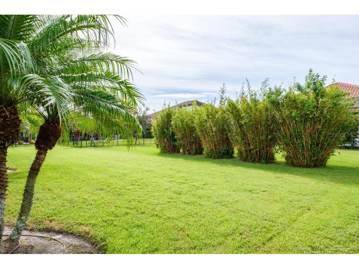 165 Mobbly Bay Drive Oldsmar FL 34677 TB8430614 image92