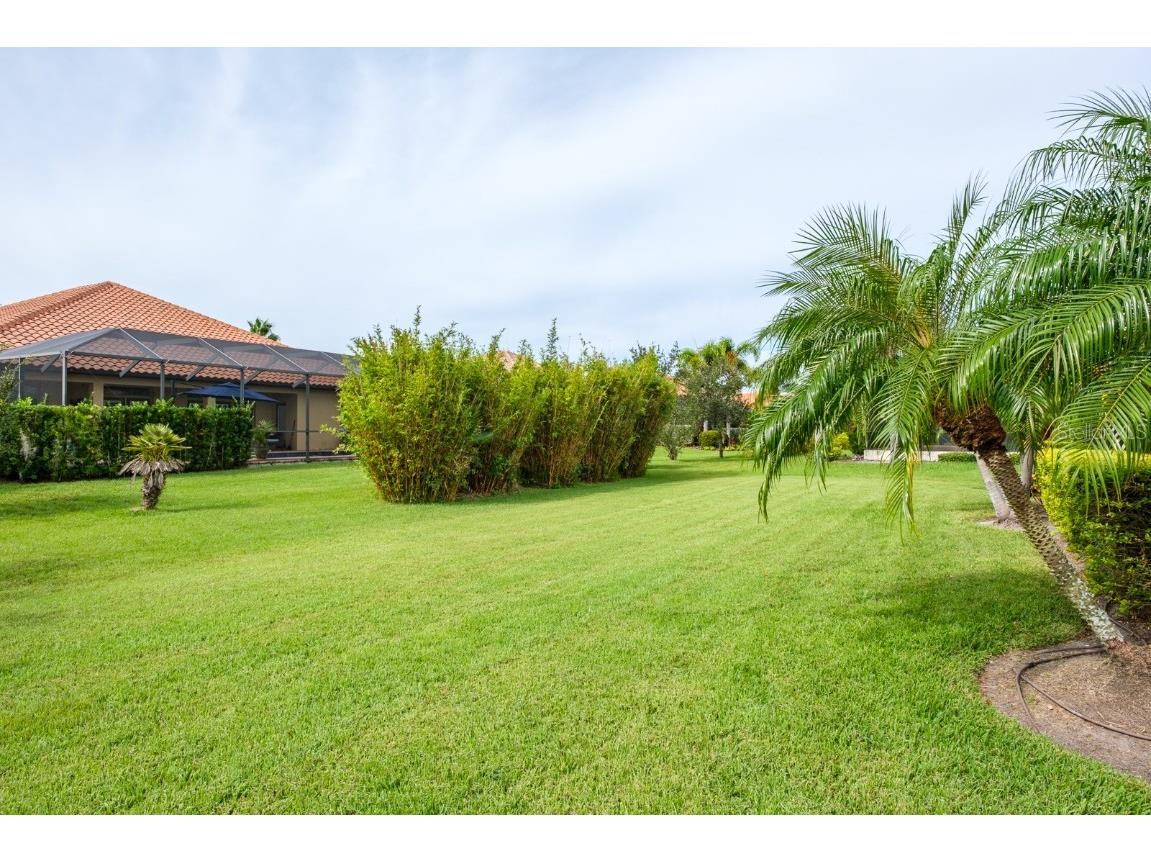 165 Mobbly Bay Drive Oldsmar FL 34677 TB8430614 image93