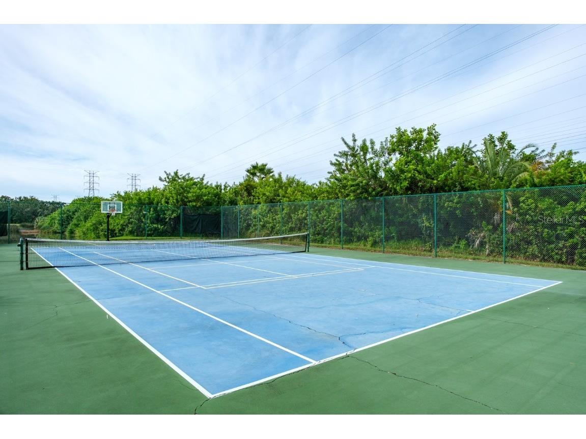 165 Mobbly Bay Drive Oldsmar FL 34677 TB8430614 image98