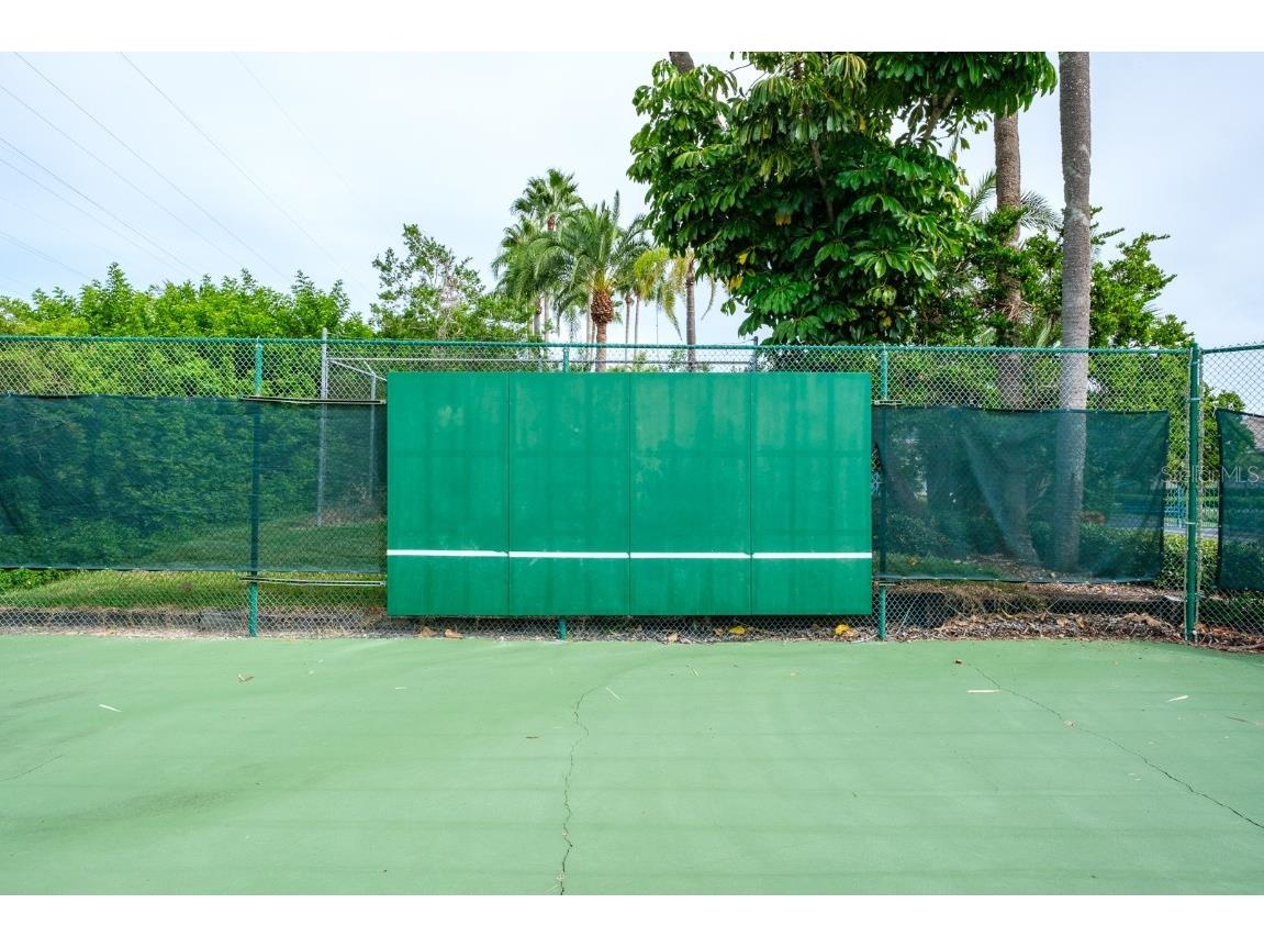 165 Mobbly Bay Drive Oldsmar FL 34677 TB8430614 image99