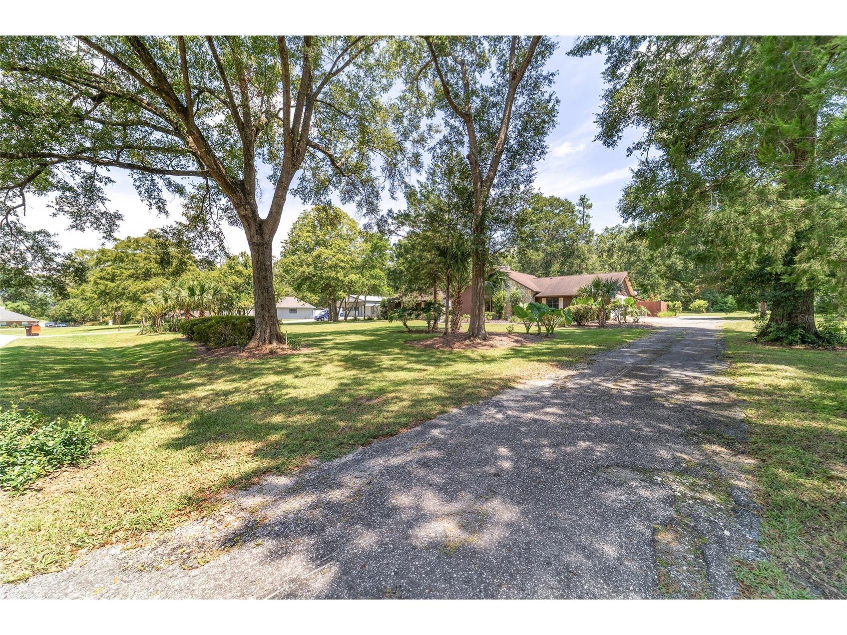 165 NE 55th Avenue Ocala FL 34470 OM708257 image91