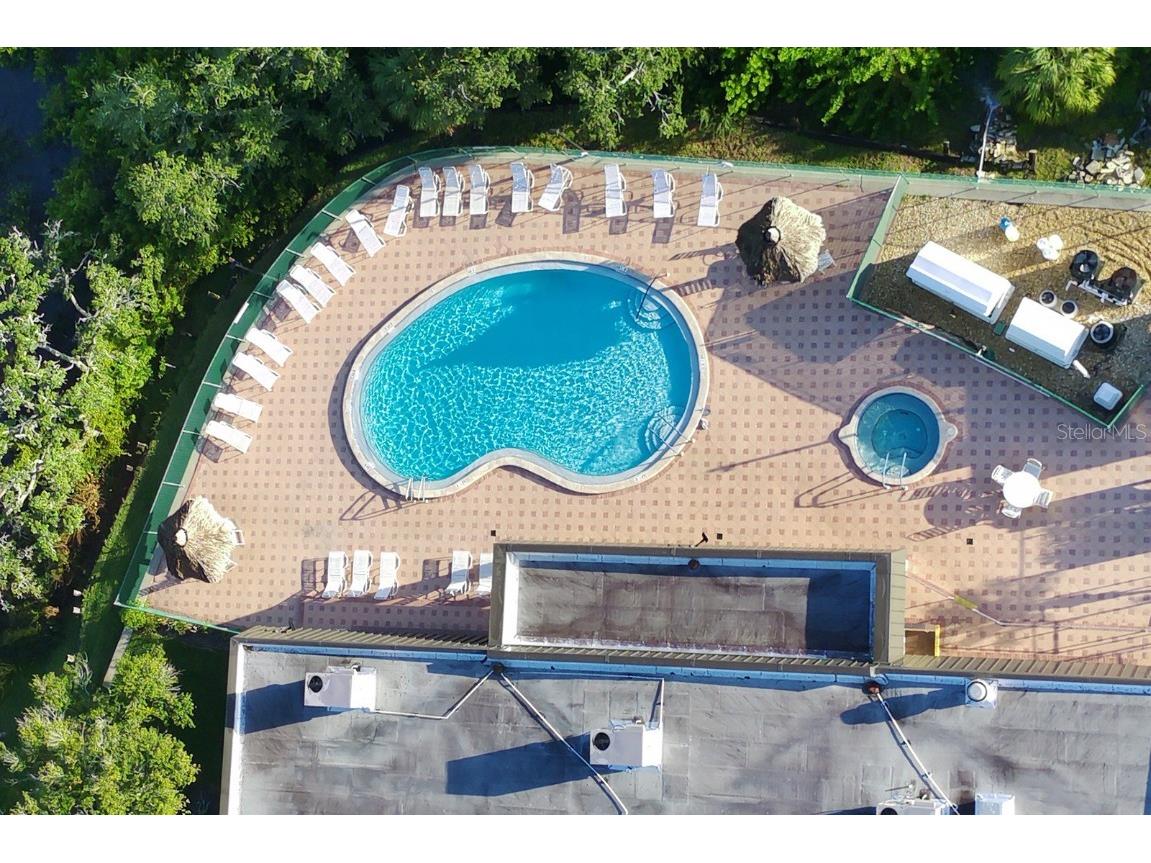 165 Pinewood Terrace #108 Safety Harbor FL 34695 TB8421819 image46