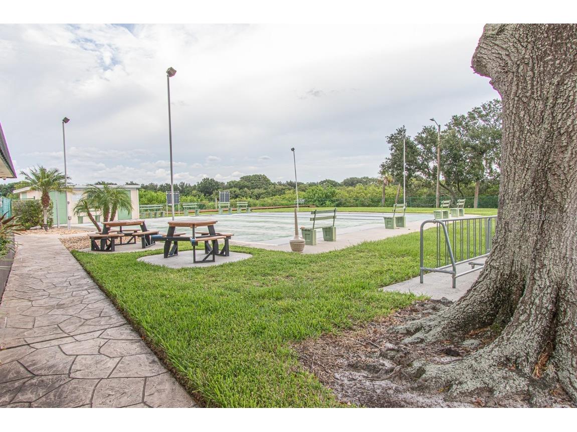 165 Pinewood Terrace #108 Safety Harbor FL 34695 TB8421819 image49