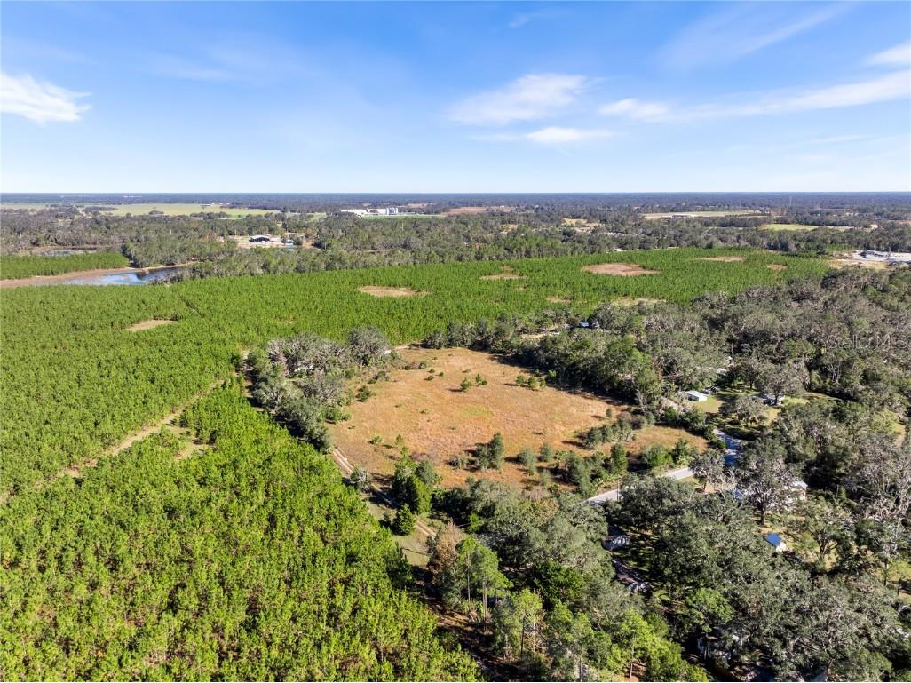 165 SE 122nd Avenue Old Town FL 32680 GC526573 image1