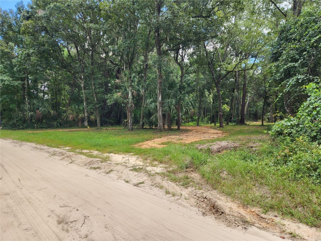 165 She She Road Hawthorne FL 32640 - LITTLE ORANGE LAKE OM663392 image1