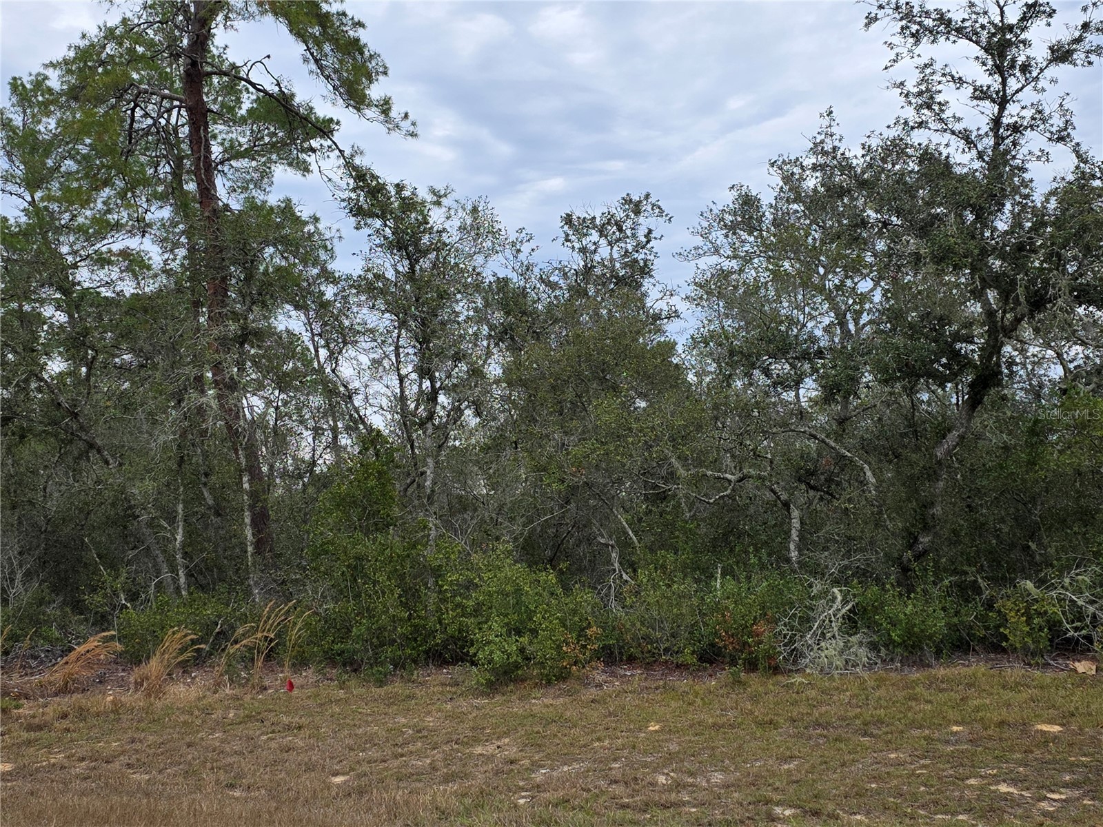 165 SW Street Road Ocala FL 34473 O6367195 image1