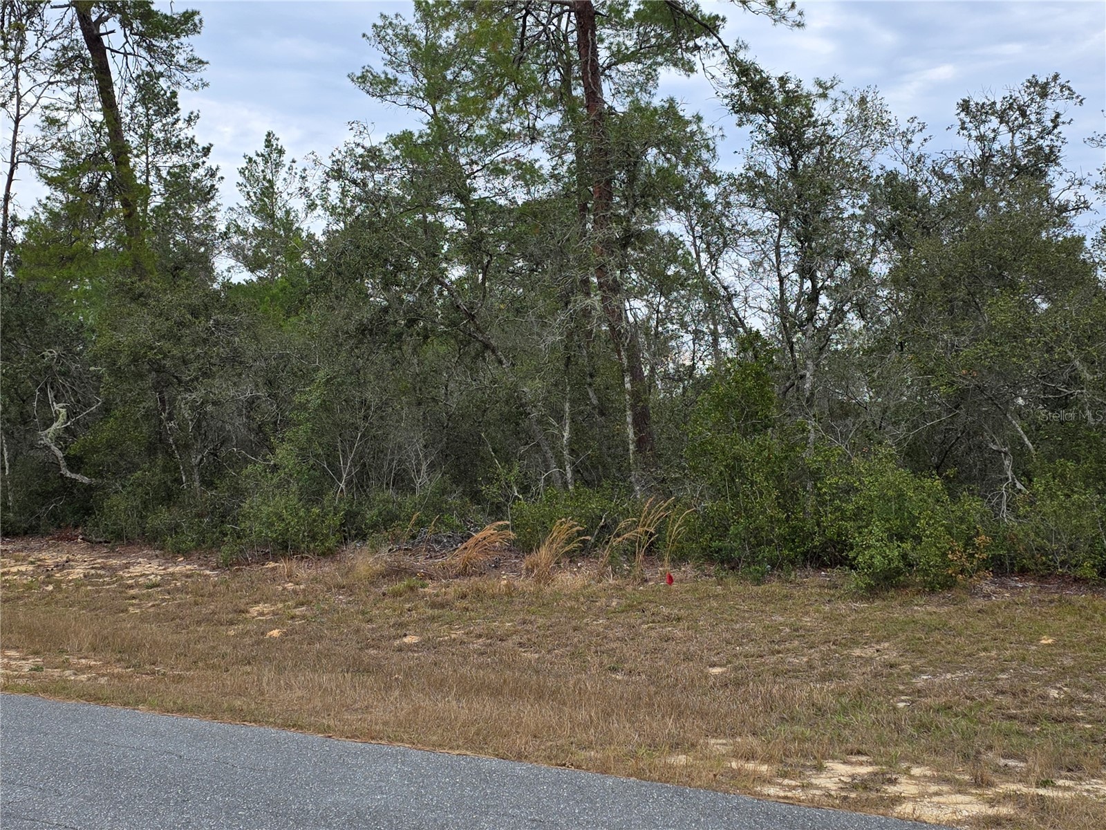 165 SW Street Road Ocala FL 34473 O6367195 image2