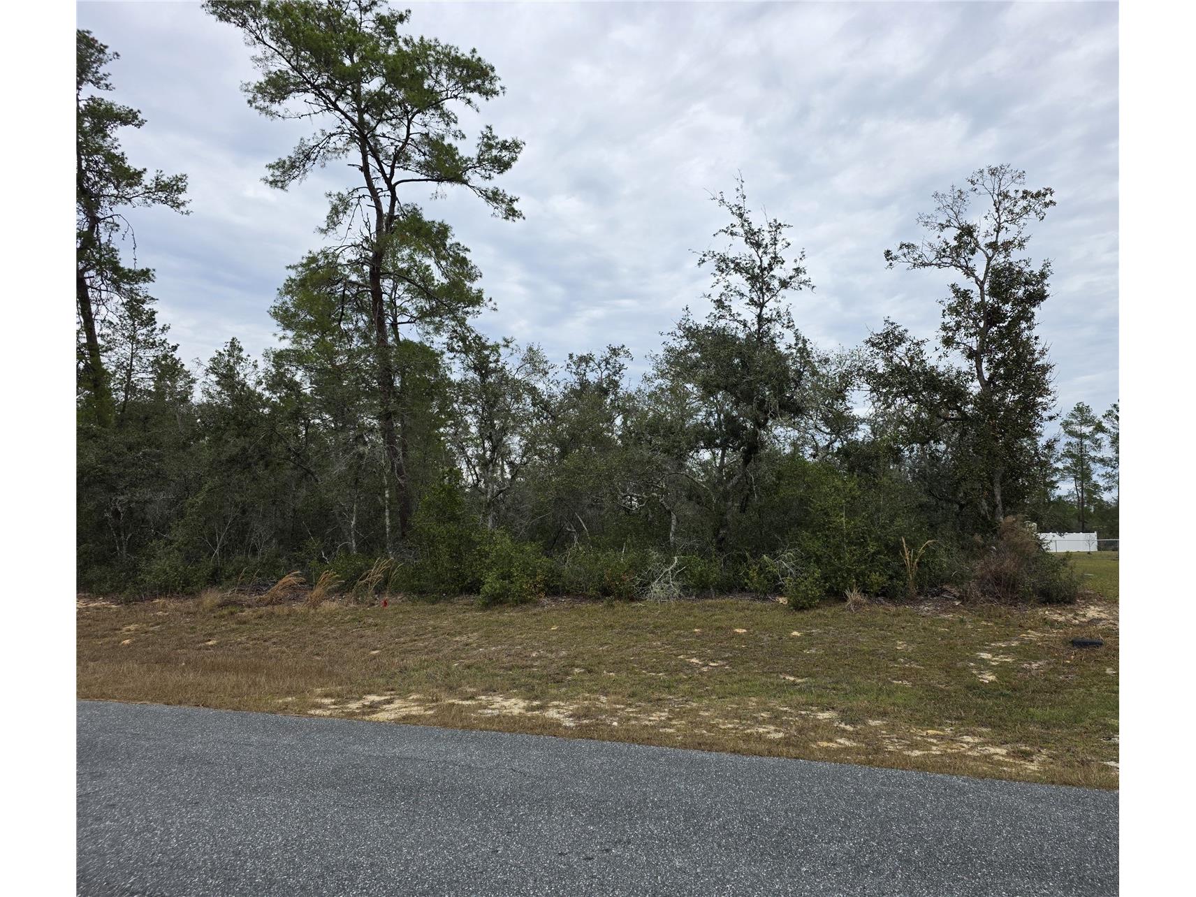 165 SW Street Road Ocala FL 34473 O6367195 image3