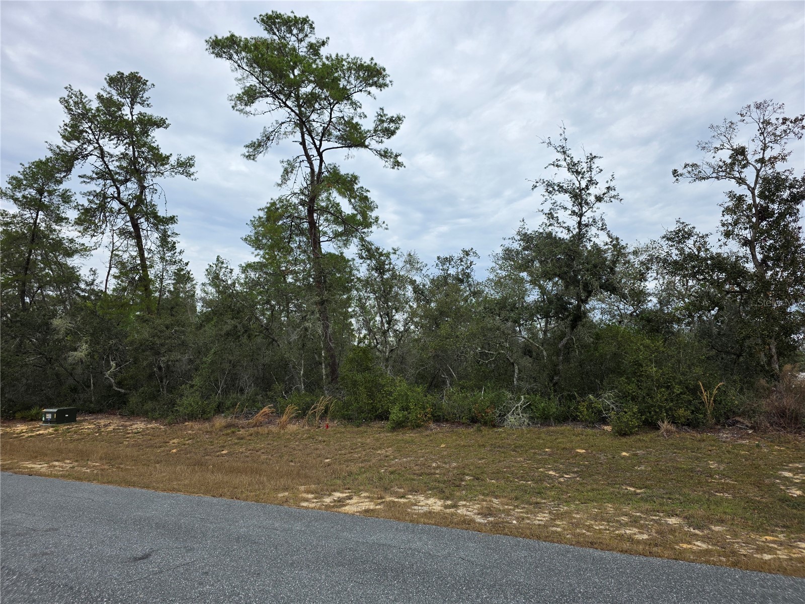 165 SW Street Road Ocala FL 34473 O6367195 image4