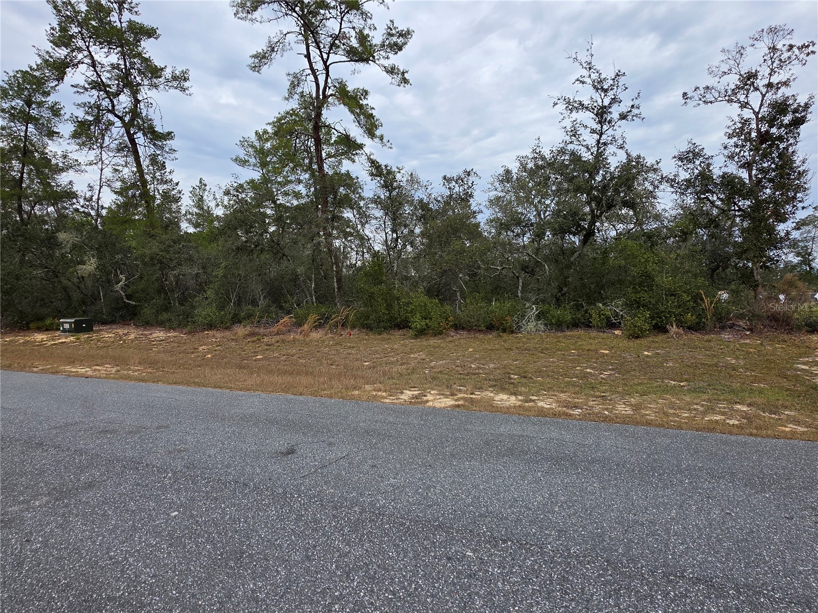 165 SW Street Road Ocala FL 34473 O6367195 image5