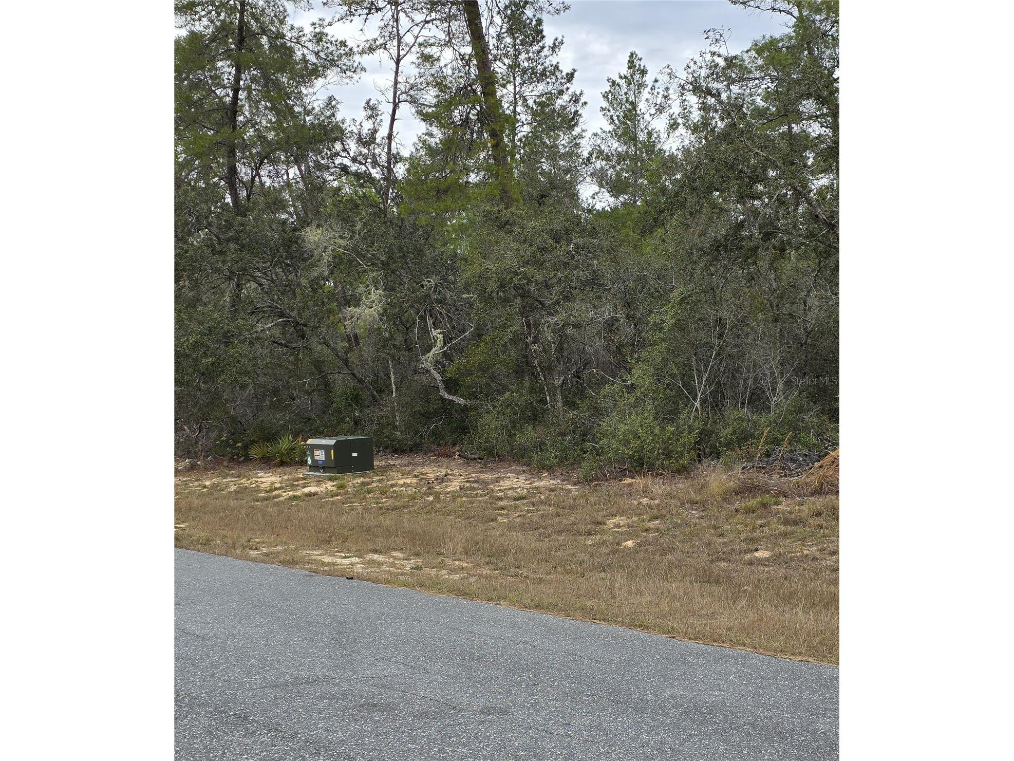 165 SW Street Road Ocala FL 34473 O6367195 image6