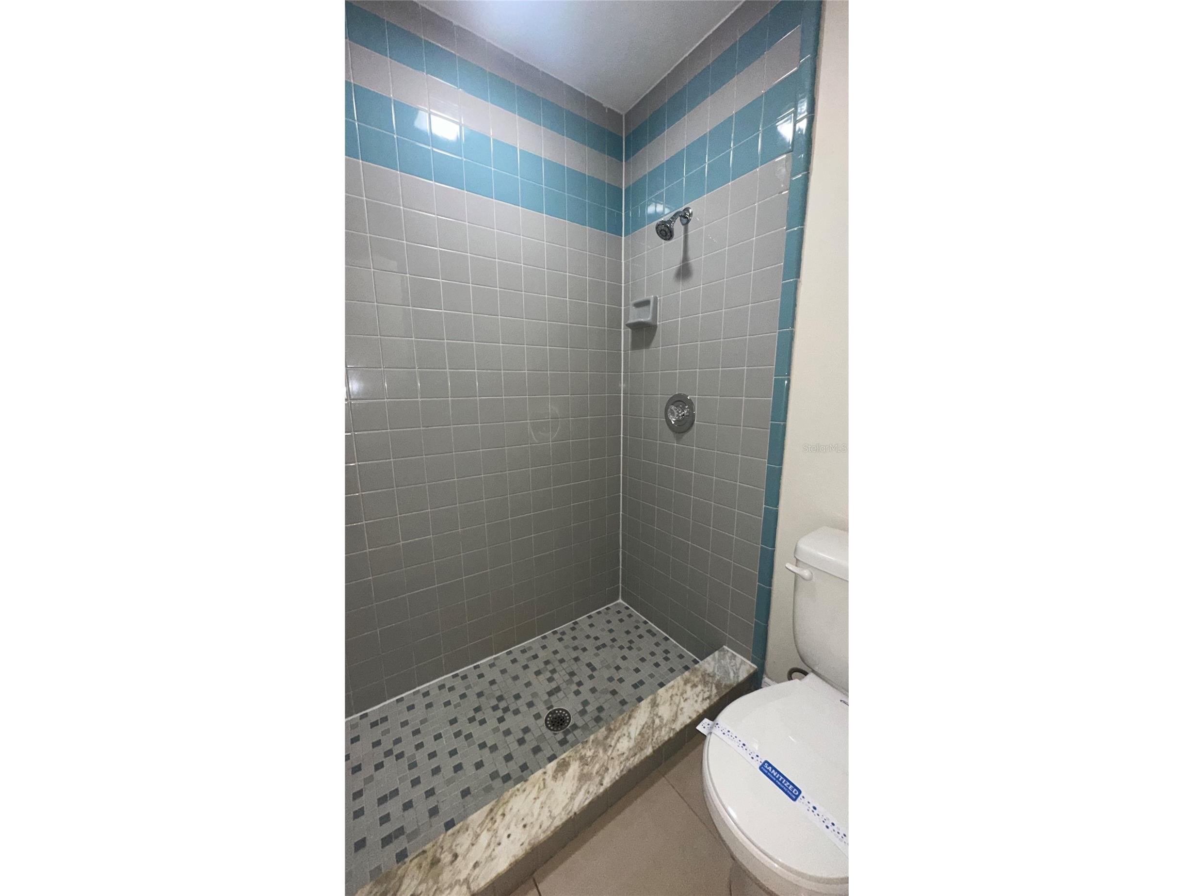 165 Toluca Drive Kissimmee FL 34743 S5146076 image16