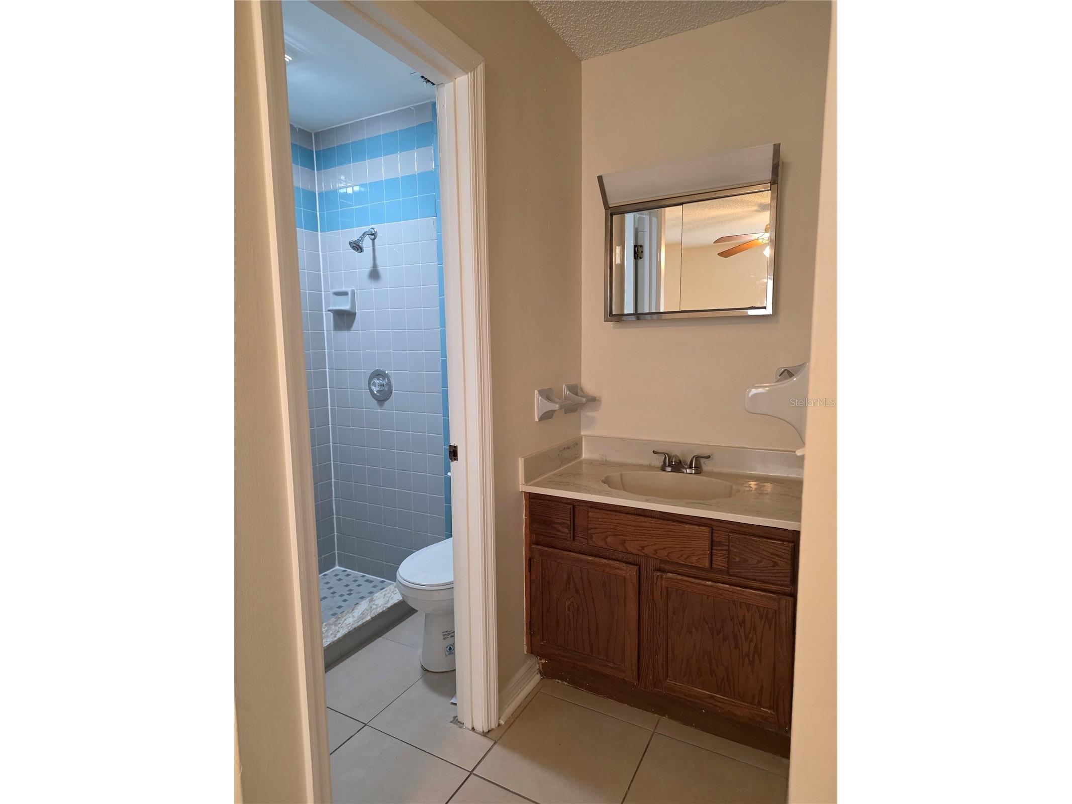 165 Toluca Drive Kissimmee FL 34743 S5151404 image8