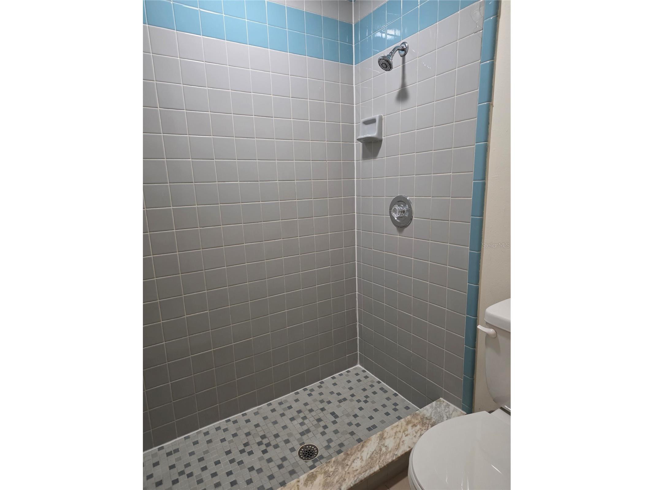 165 Toluca Drive Kissimmee FL 34743 S5151404 image9