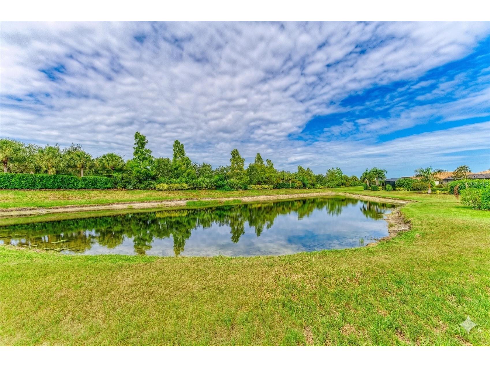 165 Wandering Wetlands Circle Bradenton FL 34212 A4695810 image3