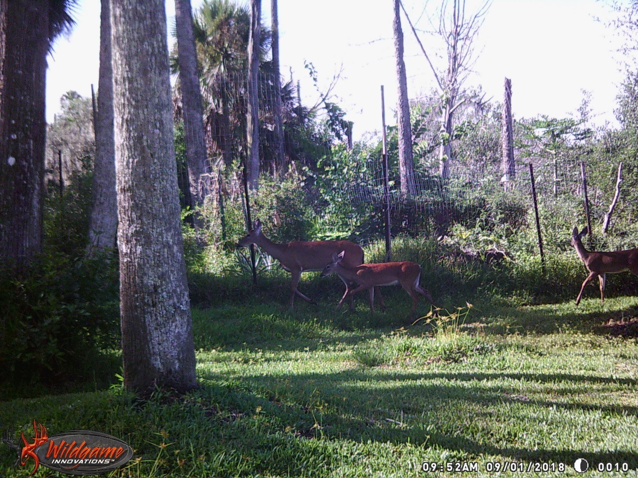 165 Willow Oak Way Palm Coast FL 32137 FC318868 image27