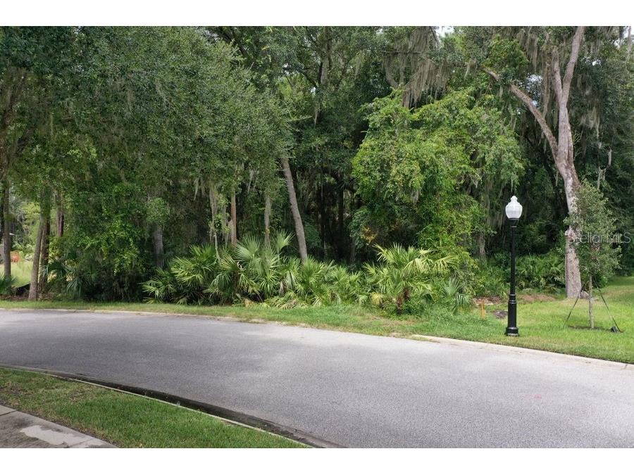 165 Willow Oak Way Palm Coast FL 32137 FC318868 image3