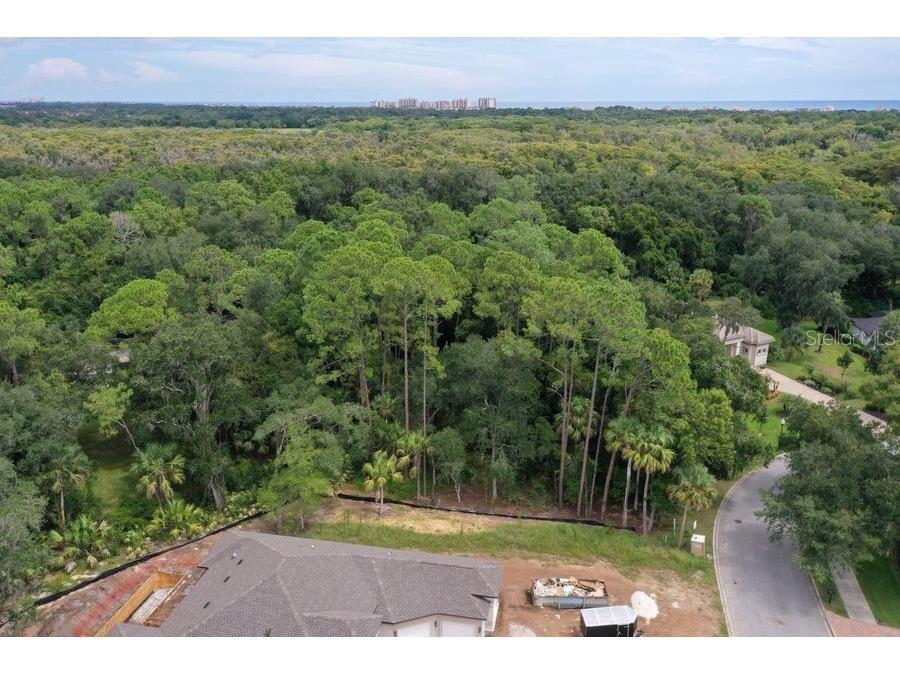 165 Willow Oak Way Palm Coast FL 32137 FC318868 image4