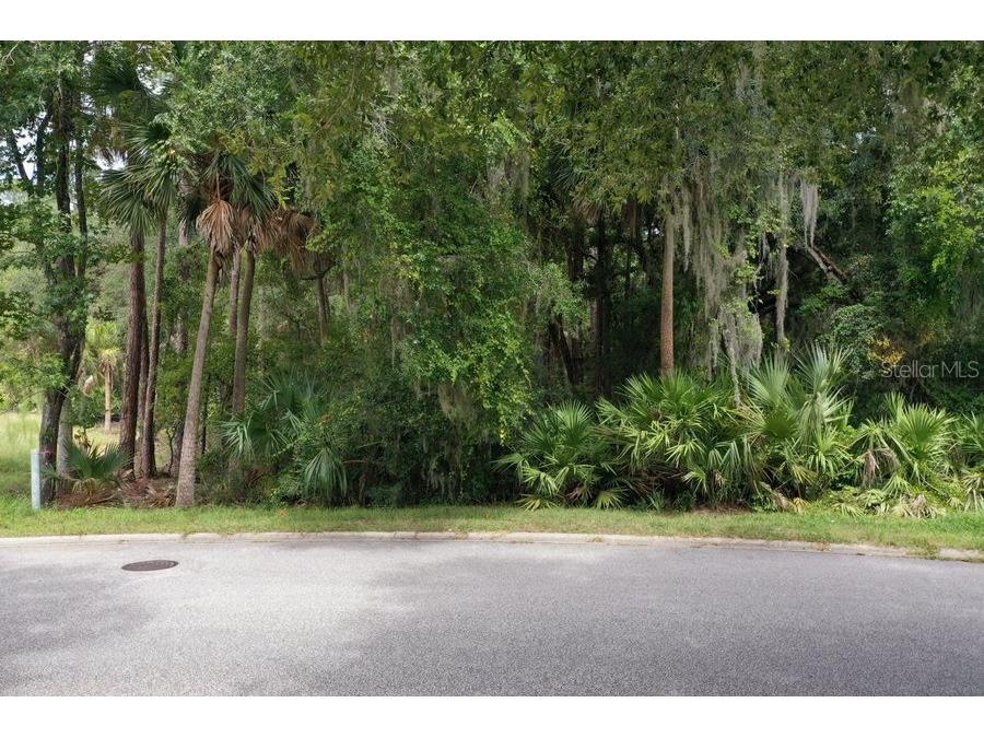 165 Willow Oak Way Palm Coast FL 32137 FC318868 image5