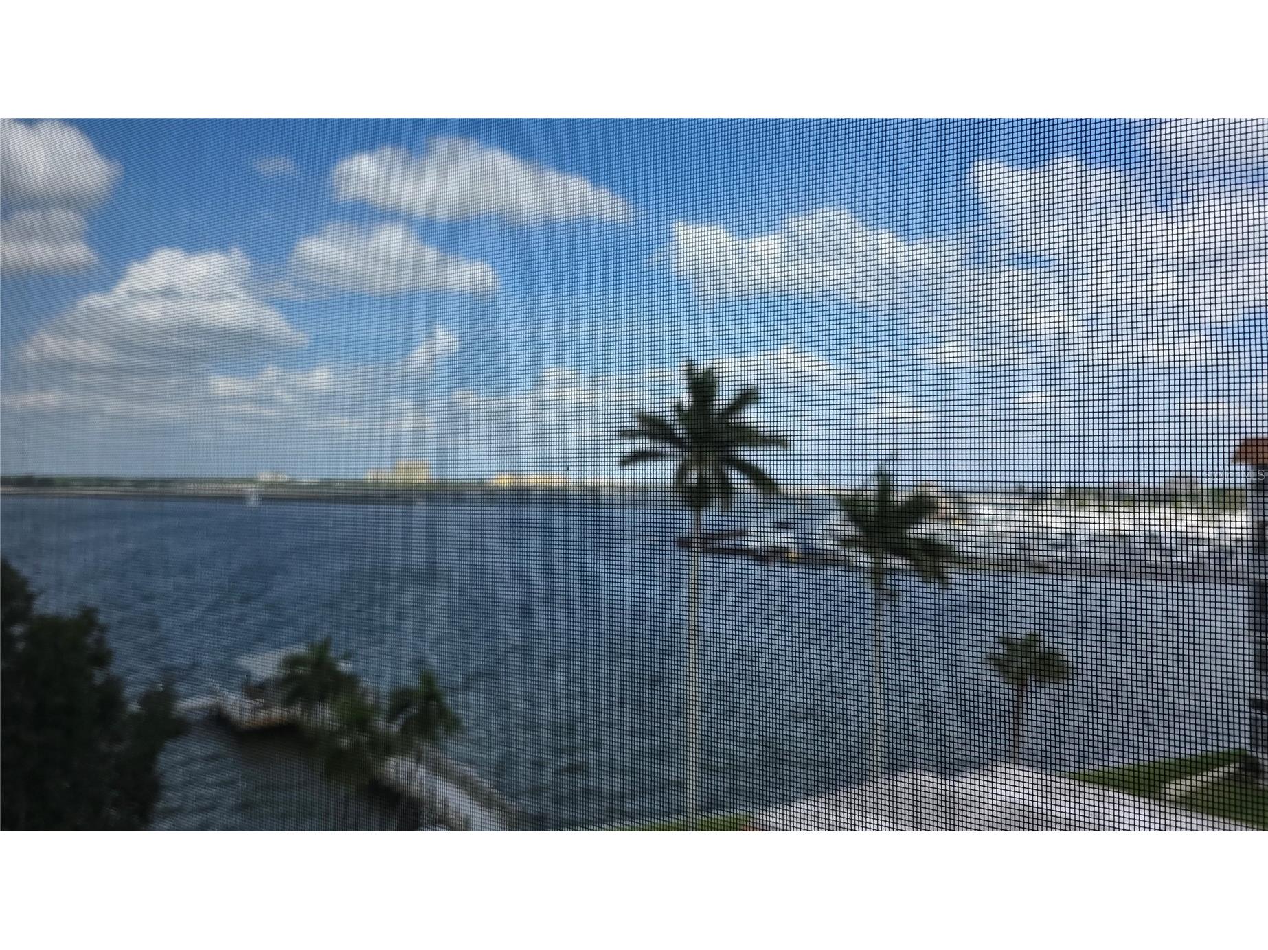 1650 1st Avenue W #507B Bradenton FL 34205 - MANATEE RIVER A4676002 image22