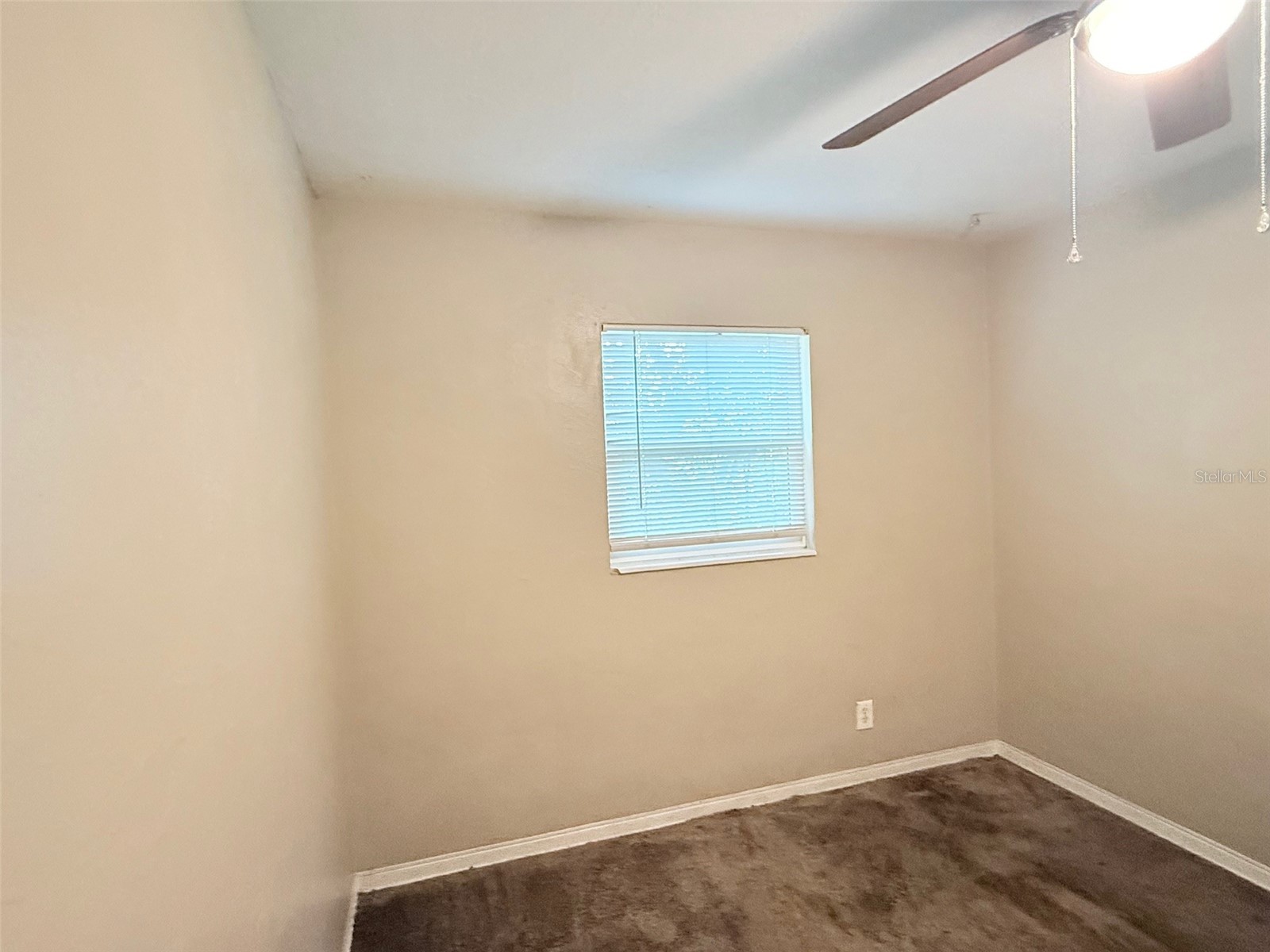 1650 30th Avenue N Saint Petersburg FL 33713 TB8504973 image15