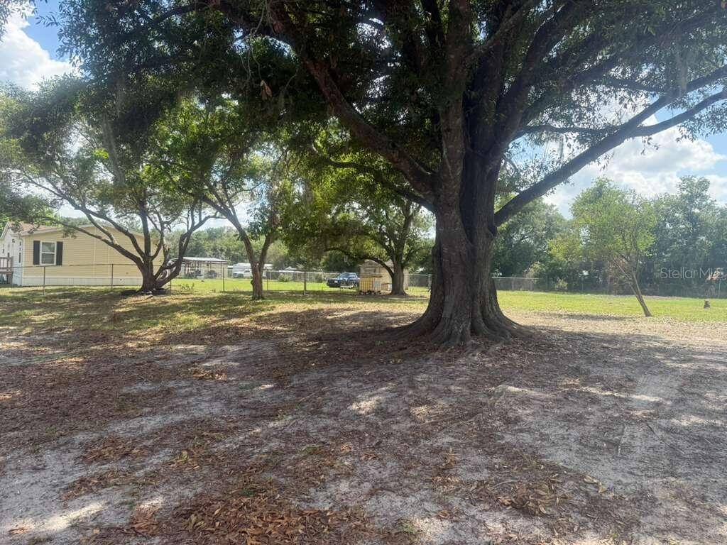 1650 Belmont Avenue #29 Mulberry FL 33860 O6409918 image6