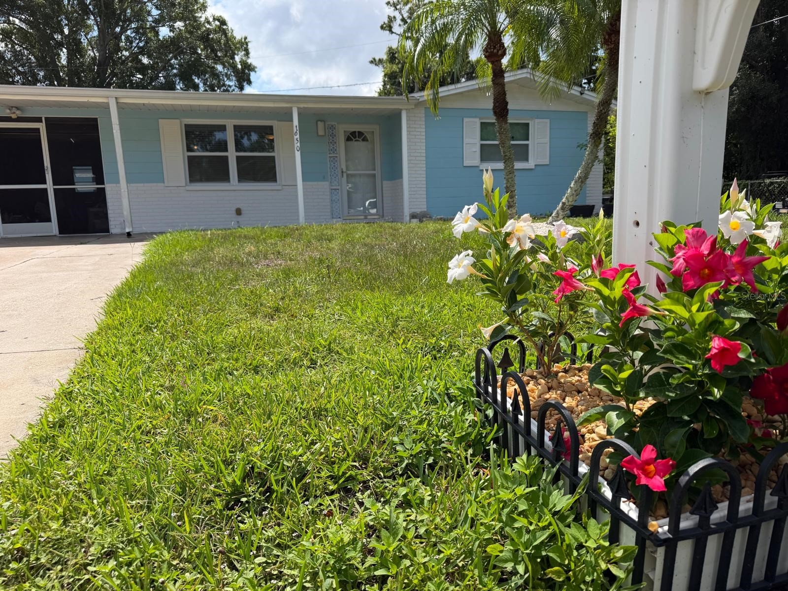 1650 Bold Lane Holiday FL 34691 TB8523939 image19