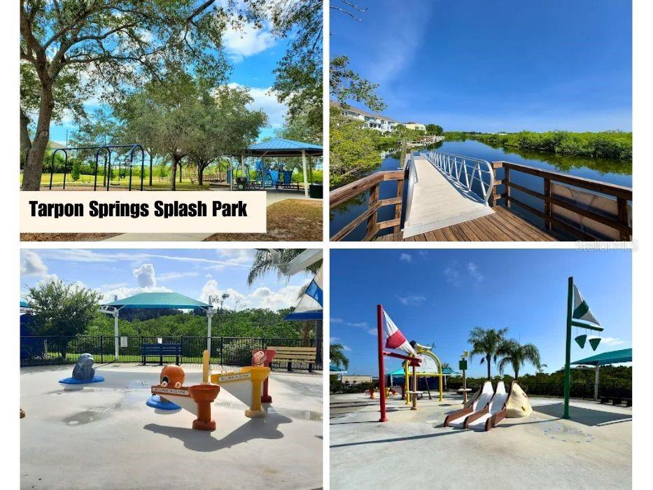 1650 Bold Lane Holiday FL 34691 TB8523939 image3
