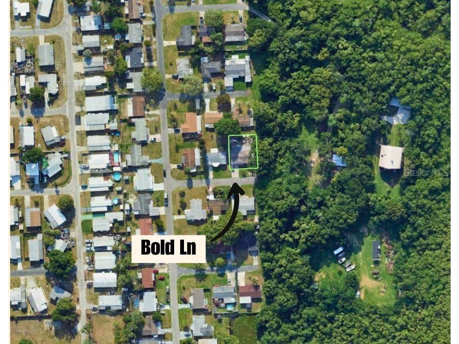 1650 Bold Lane Holiday FL 34691 TB8523939 image46
