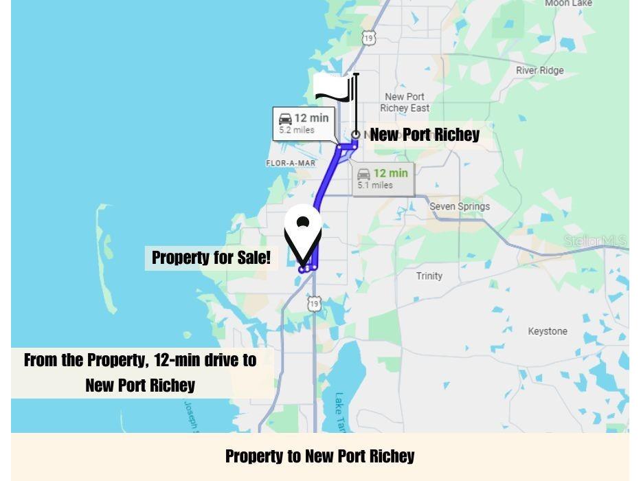 1650 Bold Lane Holiday FL 34691 TB8523939 image47