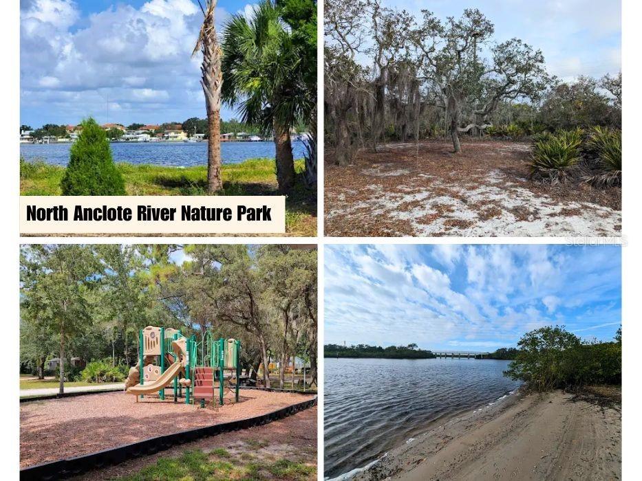 1650 Bold Lane Holiday FL 34691 TB8523939 image50