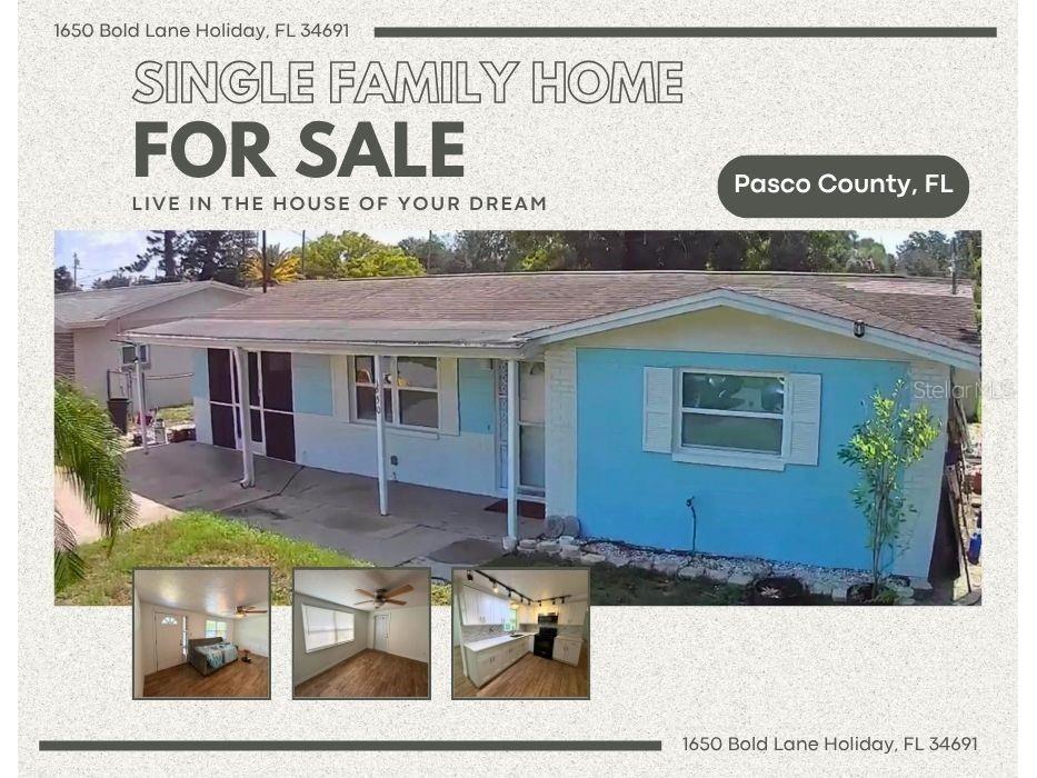 1650 Bold Lane Holiday FL 34691 TB8523939 image52