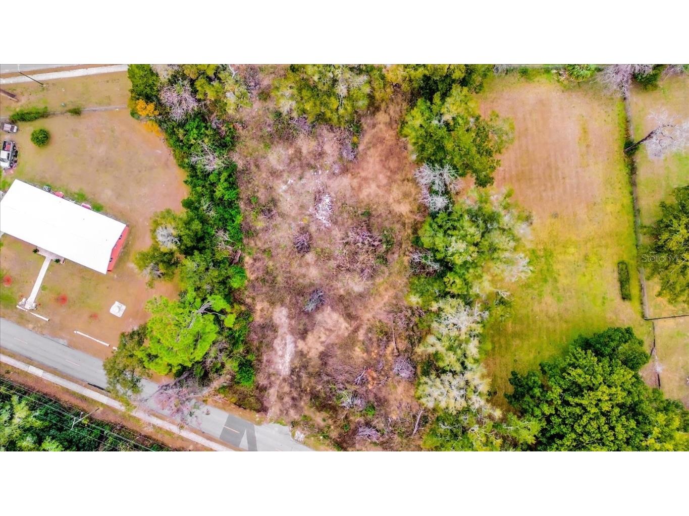 1650 NW 7th Street Ocala FL 34475 O6276280 image3