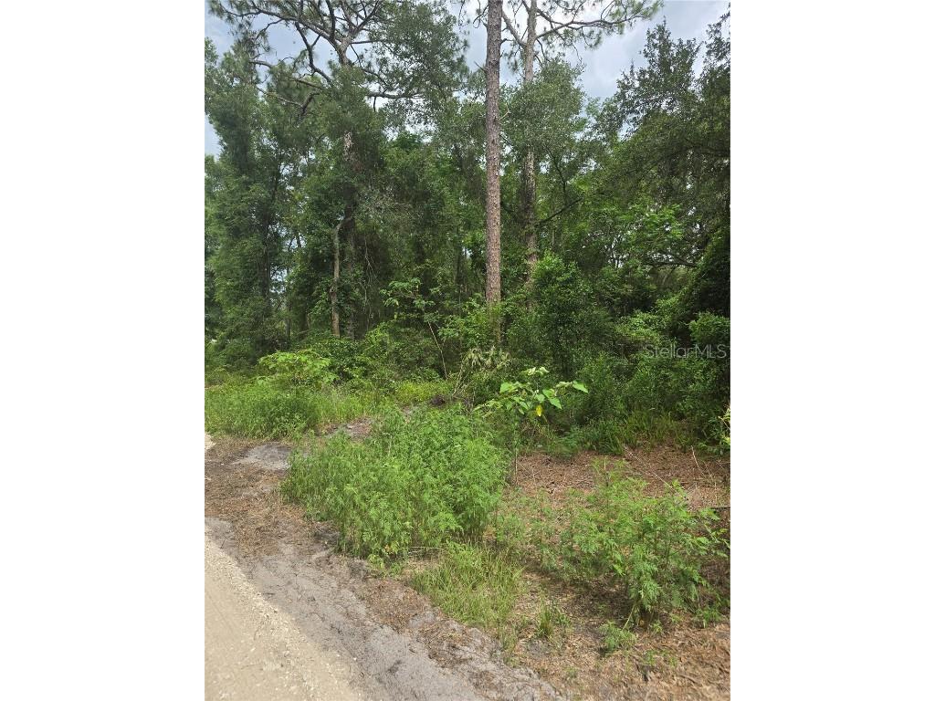 1650 SE 178th Lane Summerfield FL 34491 OM705503 image1