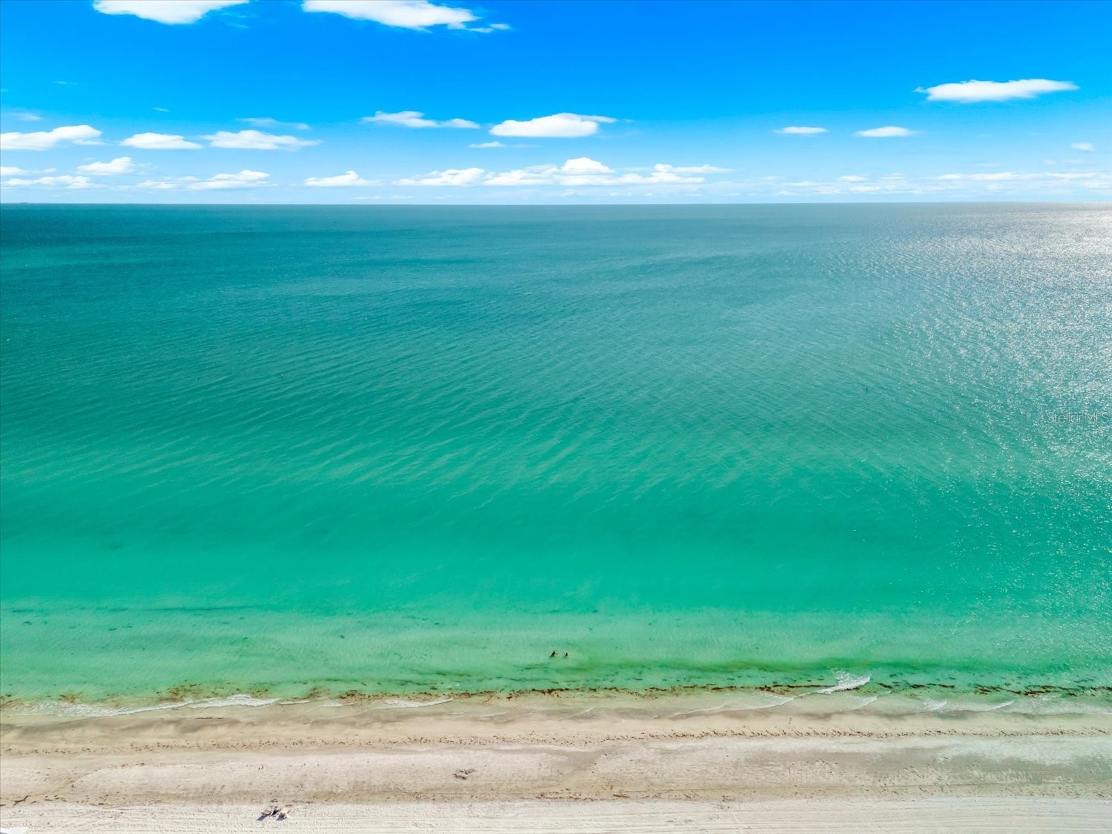 16500 Gulf Boulevard #352 North Redington Beach FL 33708 TB8501416 image38