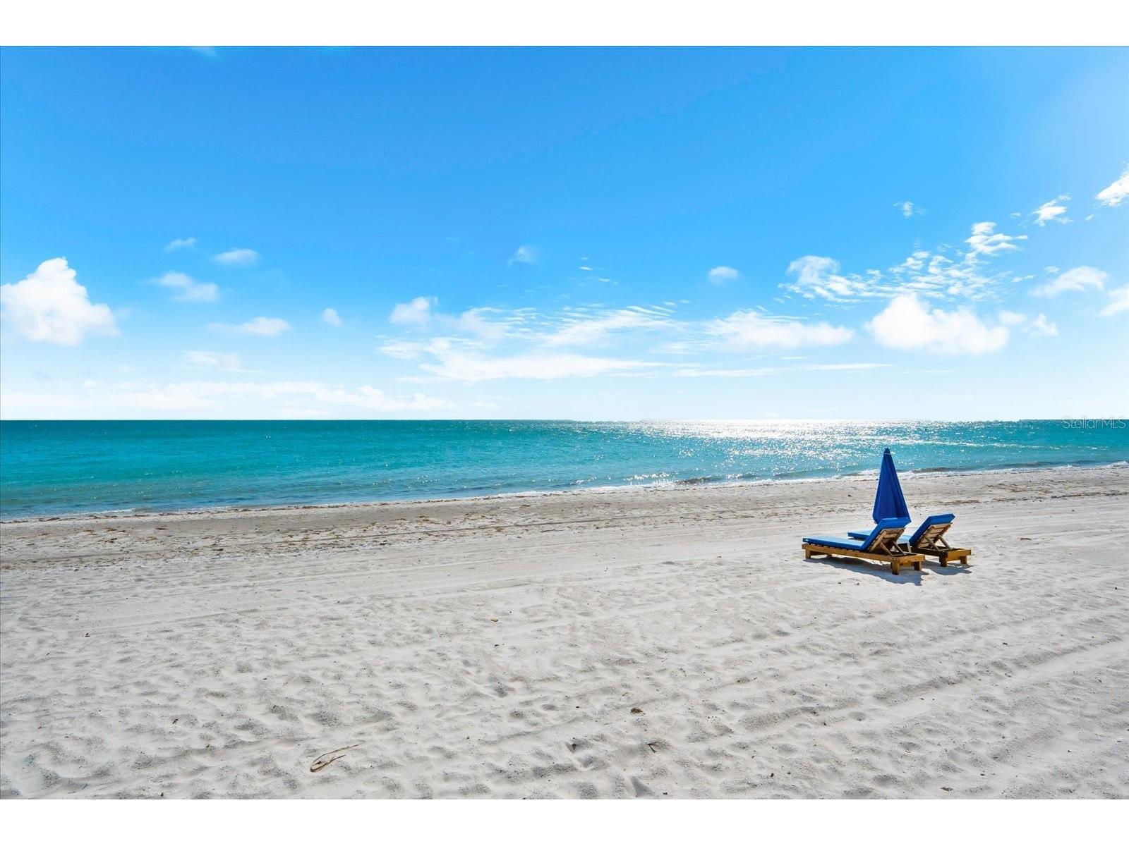 16500 Gulf Boulevard #352 North Redington Beach FL 33708 TB8501416 image40