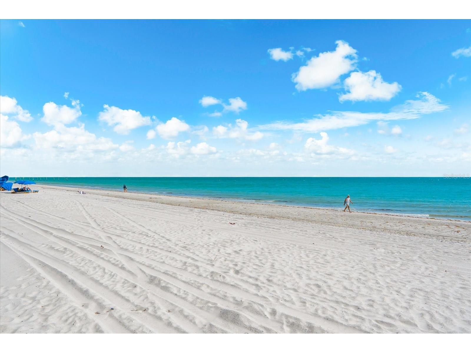 16500 Gulf Boulevard #352 North Redington Beach FL 33708 TB8501416 image41