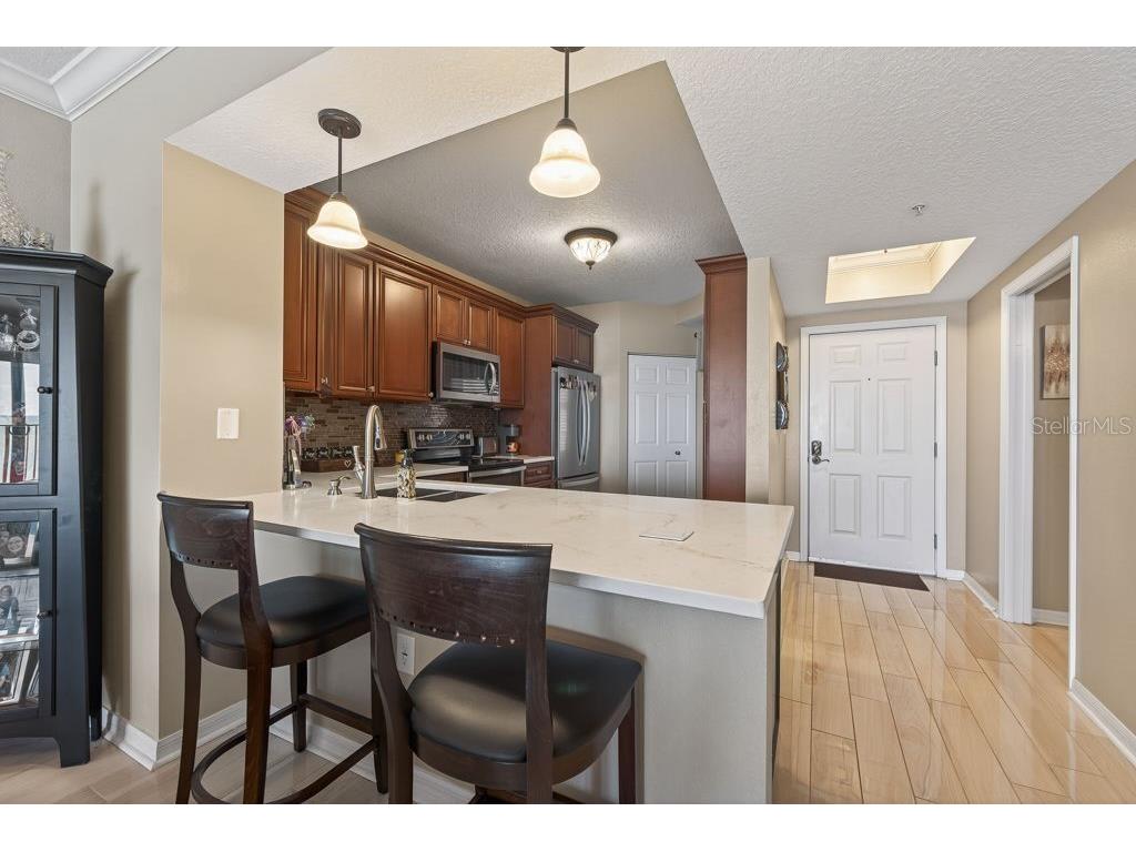 16500 Gulf Boulevard #654 North Redington Beach FL 33708 TB8502671 image17