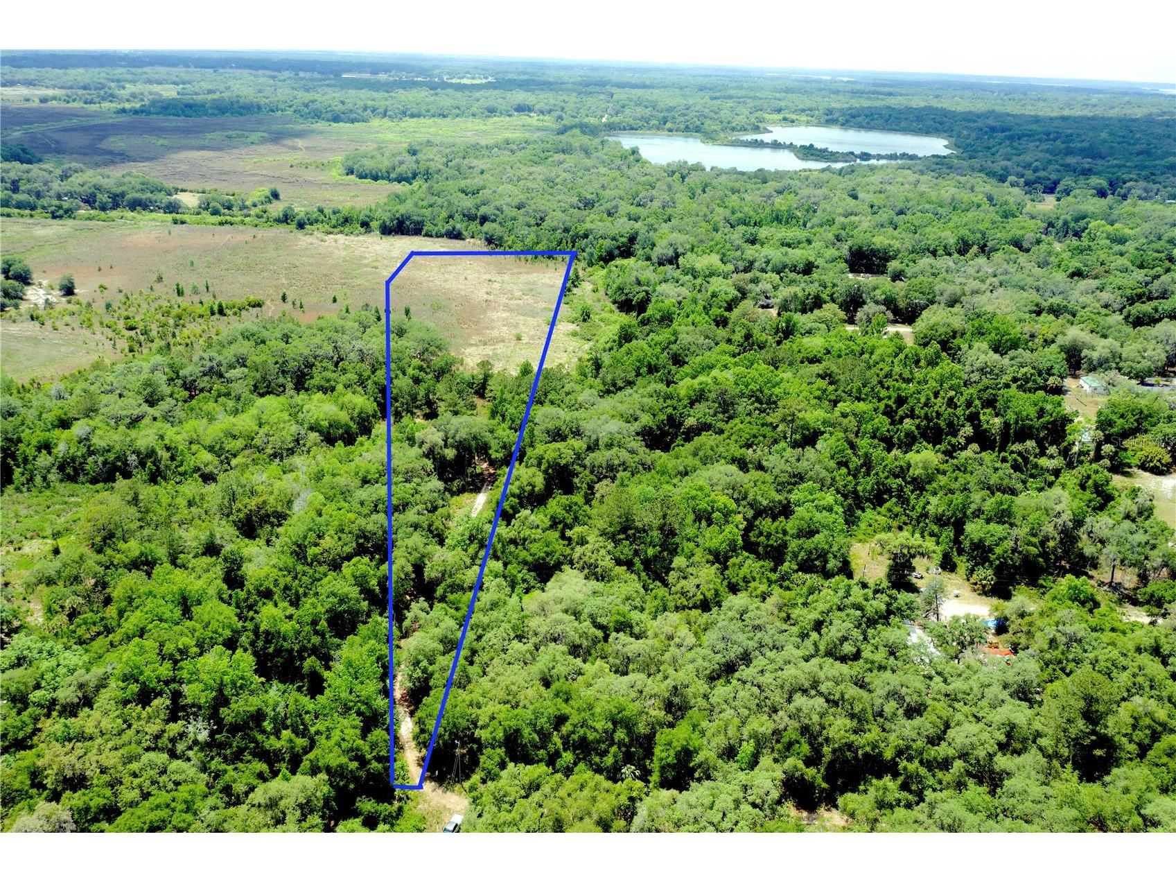 16500 NE 48th Avenue Citra FL 32113 OM723663 image1