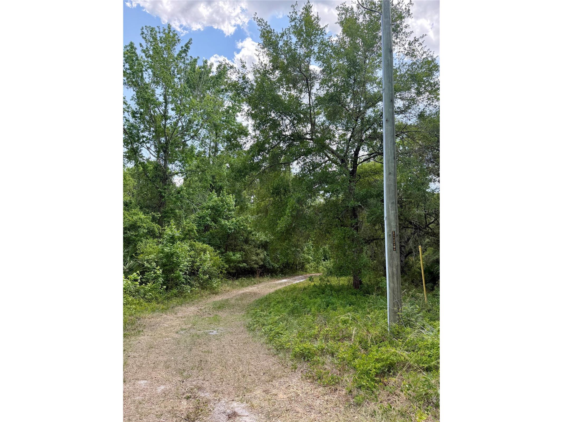 16500 NE 48th Avenue Citra FL 32113 OM723663 image11