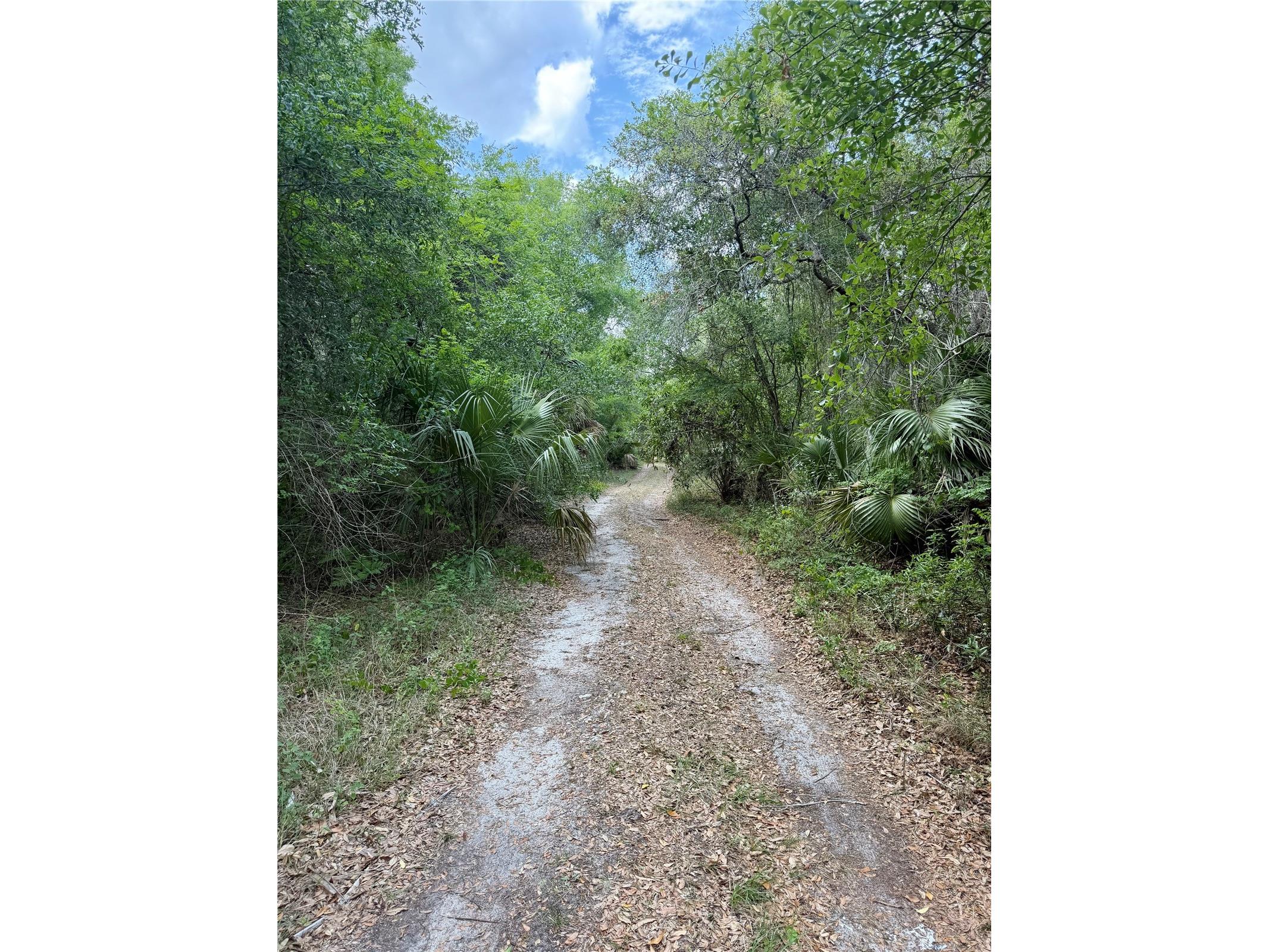 16500 NE 48th Avenue Citra FL 32113 OM723663 image12