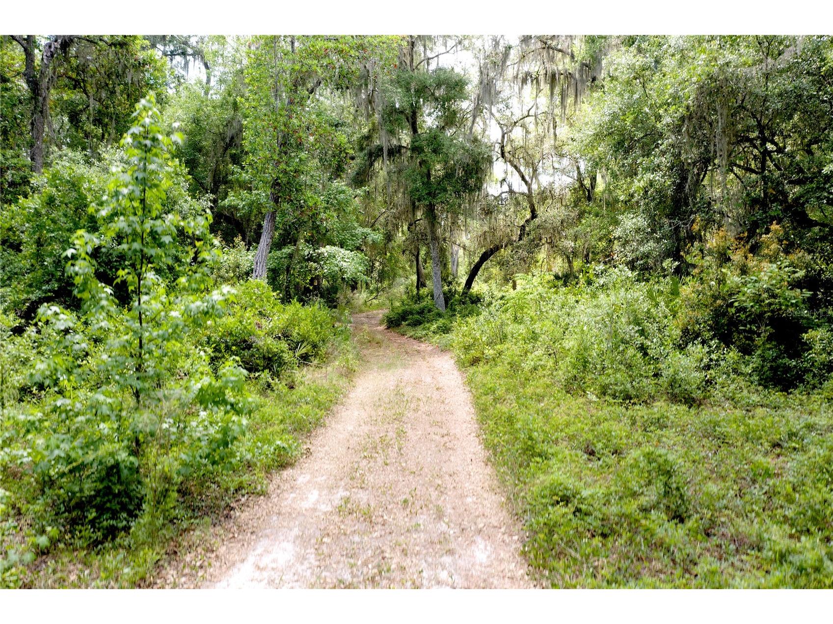 16500 NE 48th Avenue Citra FL 32113 OM723663 image13